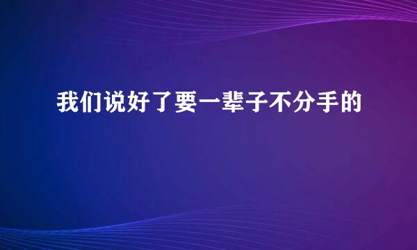 我们说好了要一辈子不分手的