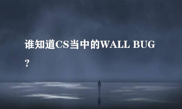 谁知道CS当中的WALL BUG？