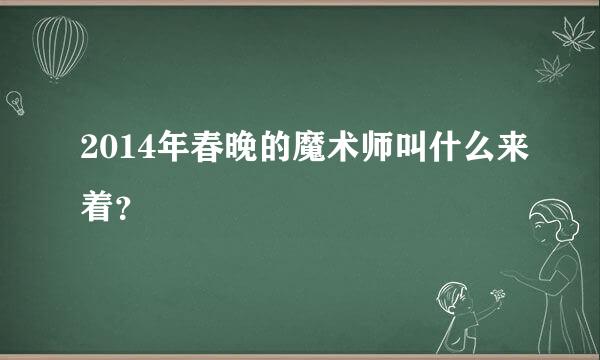 2014年春晚的魔术师叫什么来着？