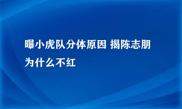 曝小虎队分体原因 揭陈志朋为什么不红