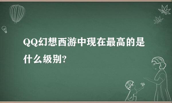 QQ幻想西游中现在最高的是什么级别?