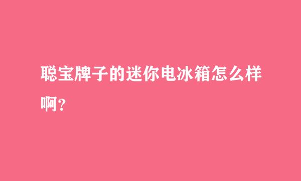 聪宝牌子的迷你电冰箱怎么样啊？