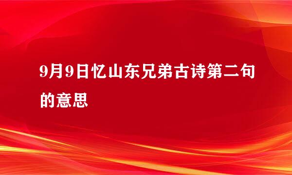 9月9日忆山东兄弟古诗第二句的意思