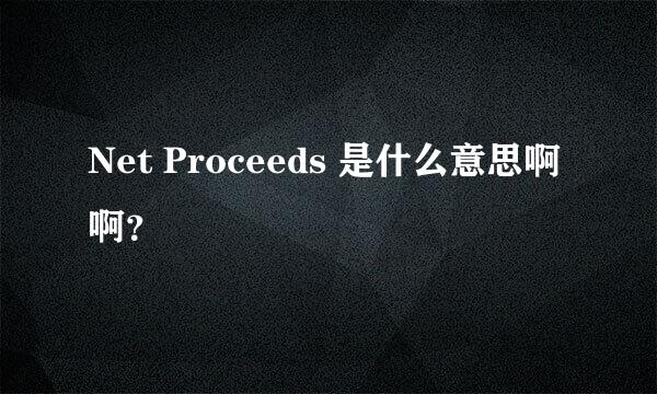 Net Proceeds 是什么意思啊啊？