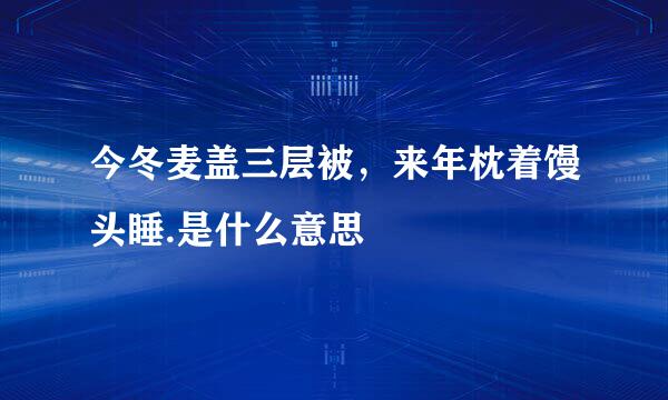 今冬麦盖三层被，来年枕着馒头睡.是什么意思