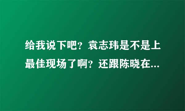 给我说下吧？袁志玮是不是上最佳现场了啊？还跟陈晓在一起做嘉宾？