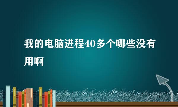 我的电脑进程40多个哪些没有用啊