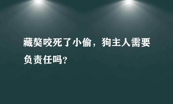 藏獒咬死了小偷，狗主人需要负责任吗？