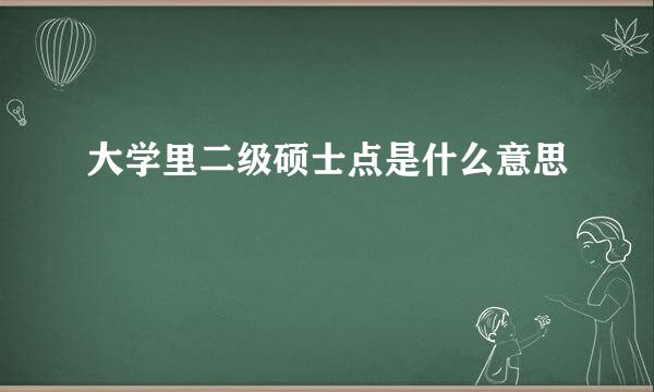 大学里二级硕士点是什么意思