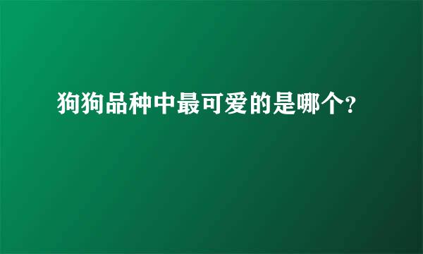 狗狗品种中最可爱的是哪个？