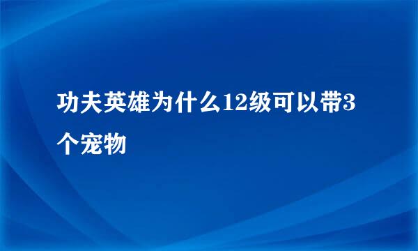 功夫英雄为什么12级可以带3个宠物