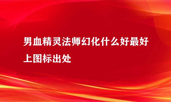 男血精灵法师幻化什么好最好上图标出处