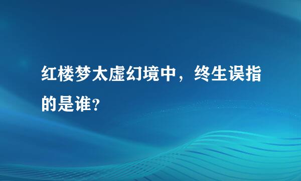 红楼梦太虚幻境中，终生误指的是谁？