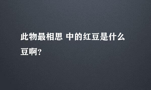 此物最相思 中的红豆是什么豆啊？