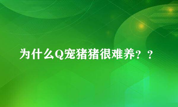 为什么Q宠猪猪很难养？？