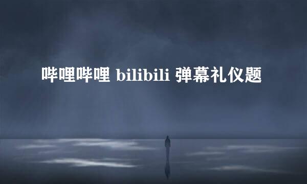 哔哩哔哩 bilibili 弹幕礼仪题