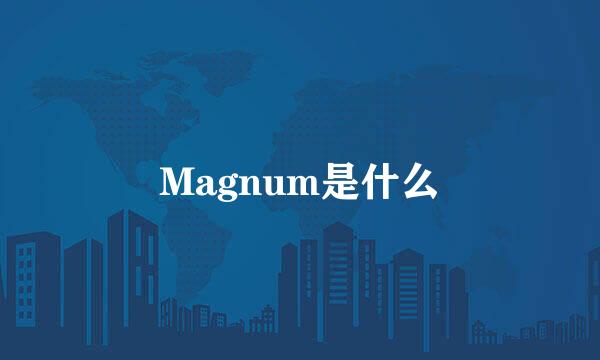 Magnum是什么