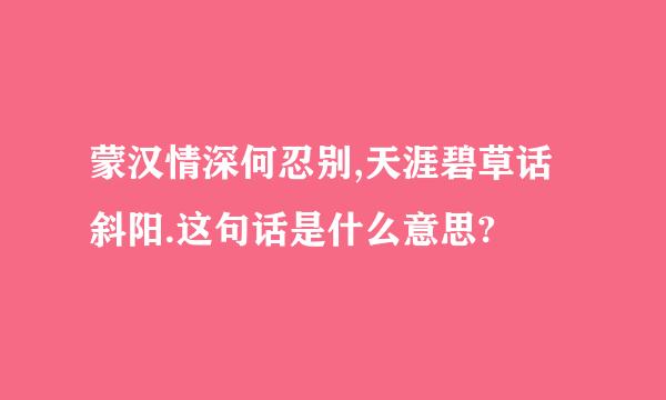 蒙汉情深何忍别,天涯碧草话斜阳.这句话是什么意思?