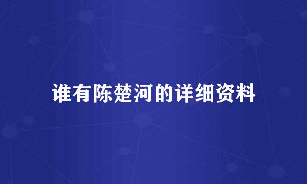 谁有陈楚河的详细资料