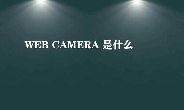 WEB CAMERA 是什么