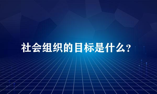 社会组织的目标是什么？