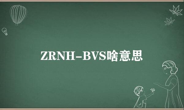 ZRNH-BVS啥意思