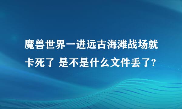 魔兽世界一进远古海滩战场就卡死了 是不是什么文件丢了?