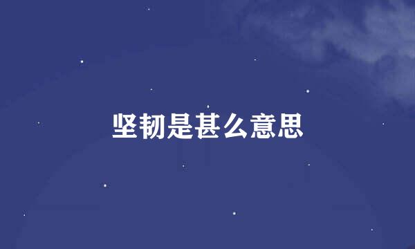 坚韧是甚么意思