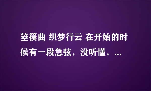 箜篌曲 织梦行云 在开始的时候有一段急弦，没听懂，觉得和全曲意境以及格调不尽相符，求高手解说下。