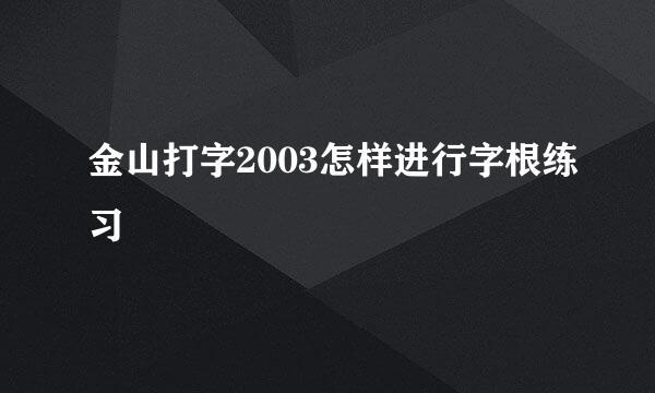 金山打字2003怎样进行字根练习