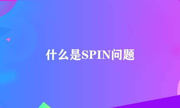 什么是SPIN问题