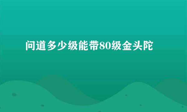 问道多少级能带80级金头陀