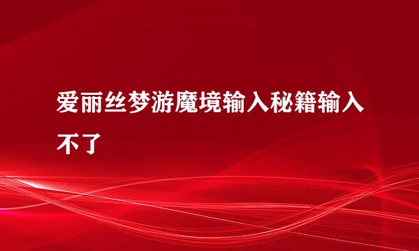 爱丽丝梦游魔境输入秘籍输入不了