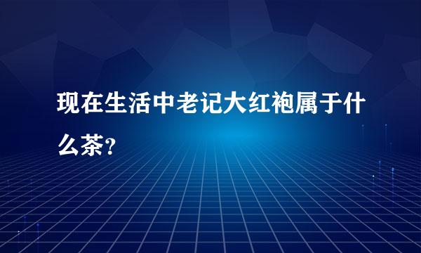 现在生活中老记大红袍属于什么茶？