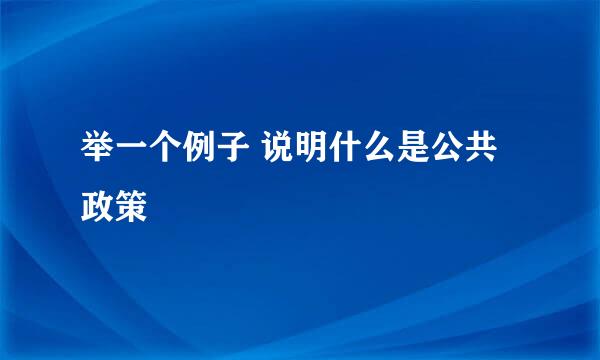 举一个例子 说明什么是公共政策