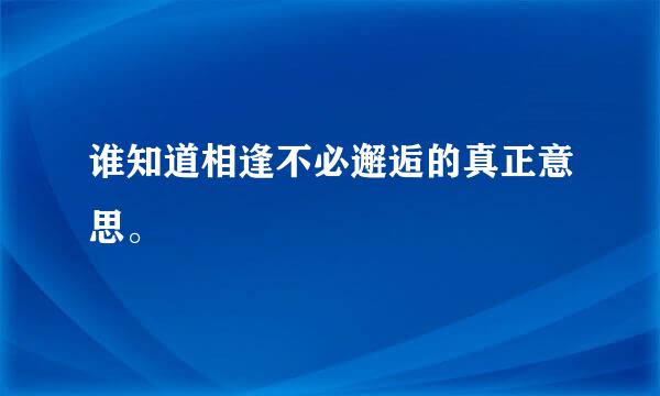 谁知道相逢不必邂逅的真正意思。