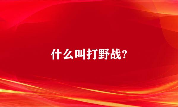 什么叫打野战?