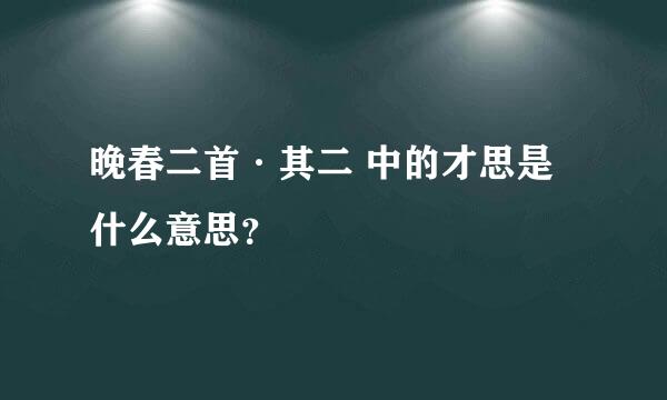 晚春二首·其二 中的才思是什么意思？