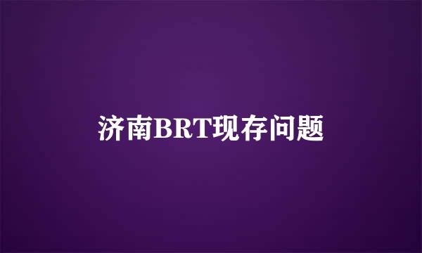 济南BRT现存问题