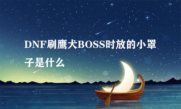 DNF刷鹰犬BOSS时放的小罩子是什么