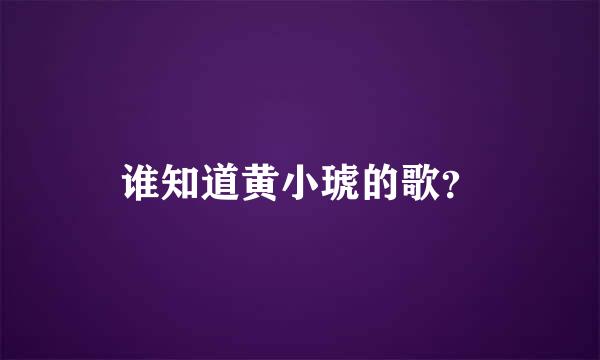 谁知道黄小琥的歌？