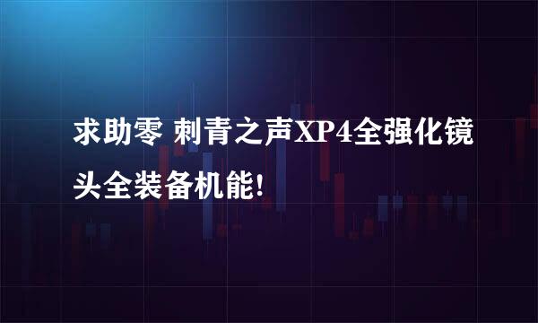 求助零 刺青之声XP4全强化镜头全装备机能!