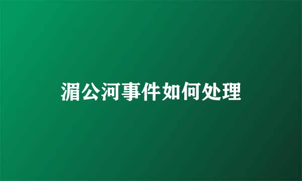 湄公河事件如何处理