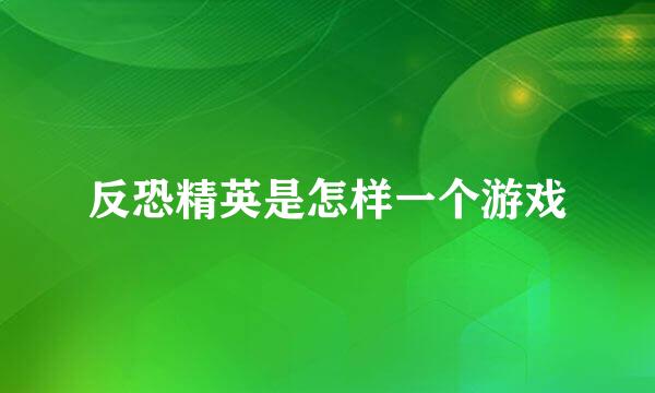 反恐精英是怎样一个游戏