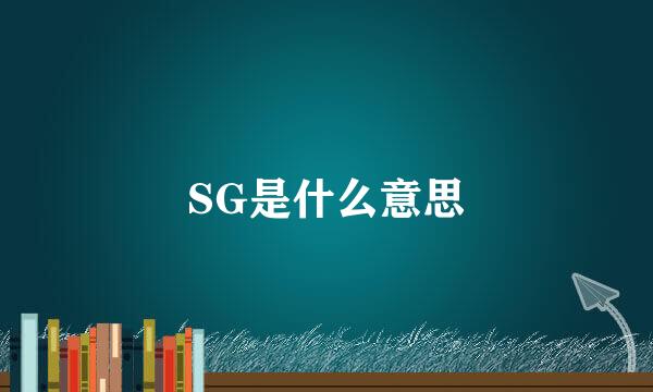 SG是什么意思