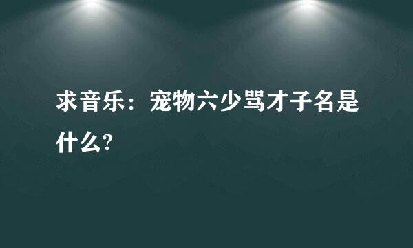 求音乐：宠物六少骂才子名是什么?