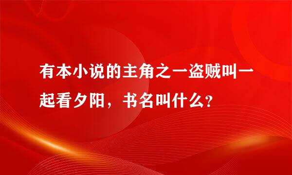 有本小说的主角之一盗贼叫一起看夕阳，书名叫什么？