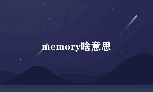 memory啥意思