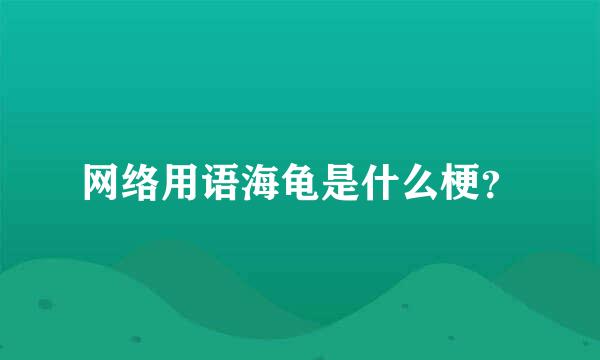 网络用语海龟是什么梗？