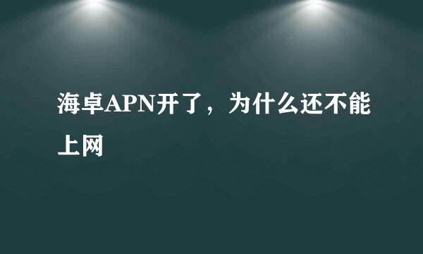 海卓APN开了，为什么还不能上网